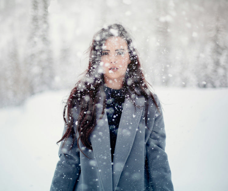 Winter Wonders Collection