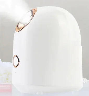 Facial Steamer White